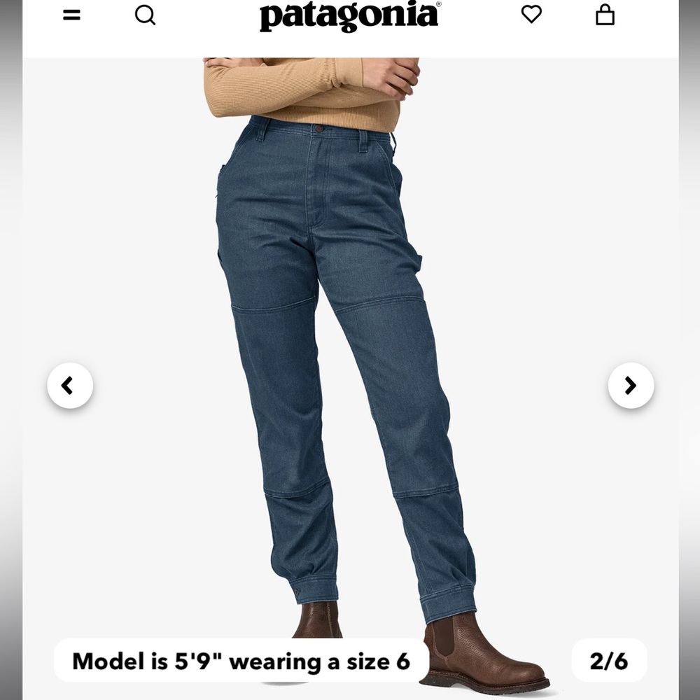 Patagonia canvas cargo pants